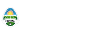 007直播网